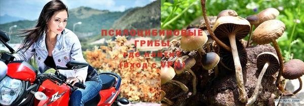 марки nbome Алзамай