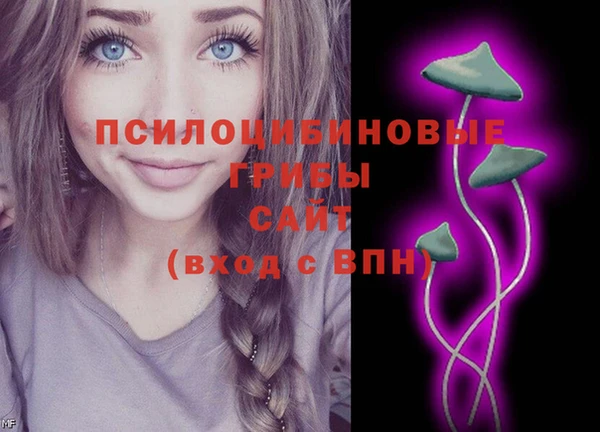 СК Арсеньев