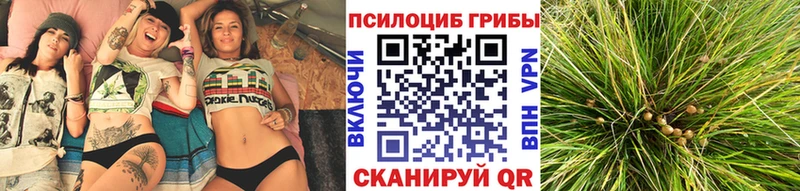 ОМГ ОМГ ссылки  Константиновск  Псилоцибиновые грибы Cubensis  дарнет шоп 