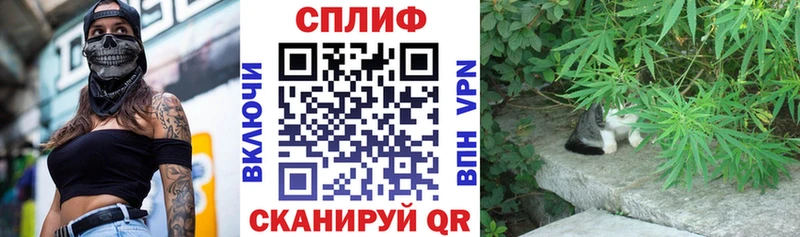 Конопля гибрид  где купить наркоту  Константиновск 